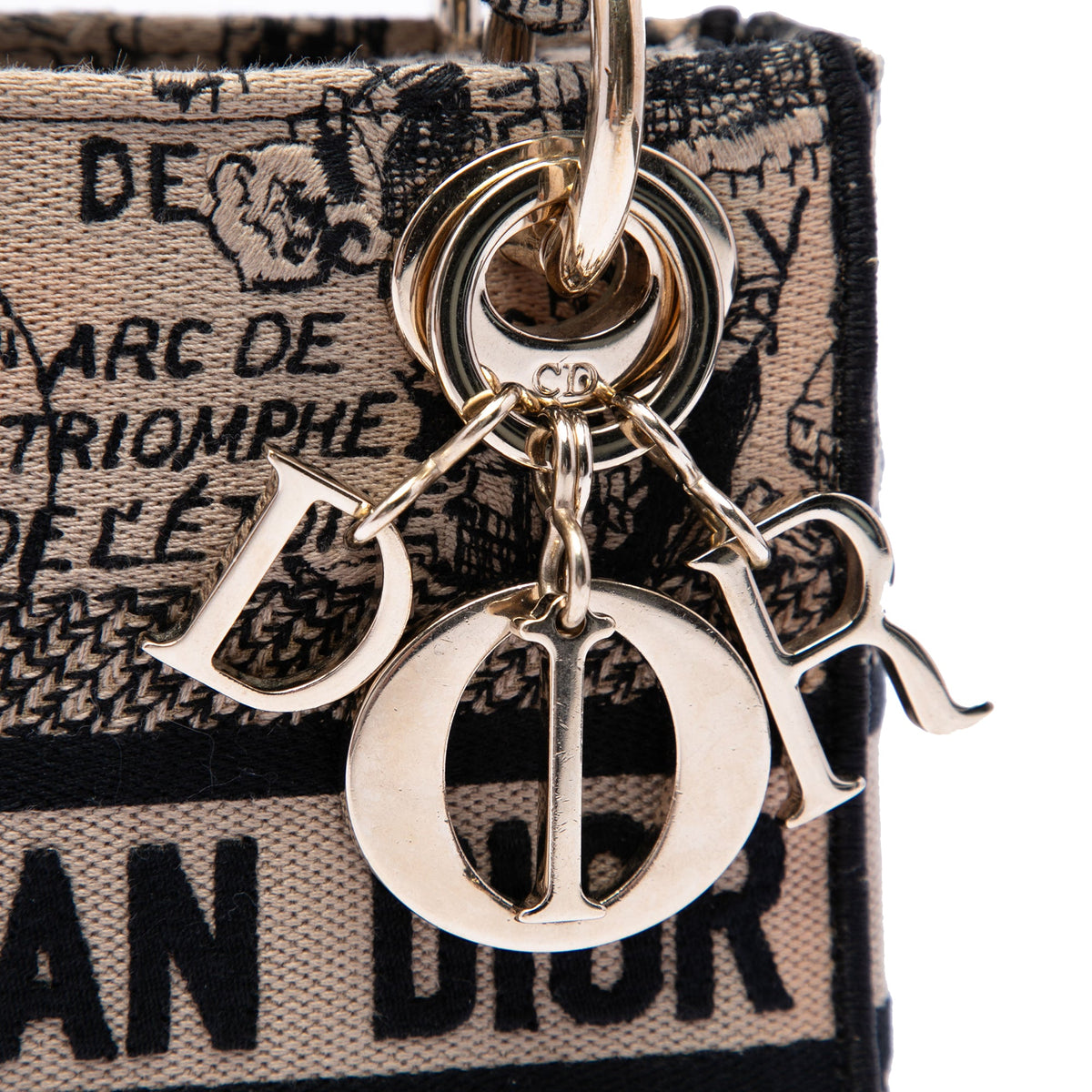 Dior Mini Embroidered Canvas Plan de Paris Lady D Lite