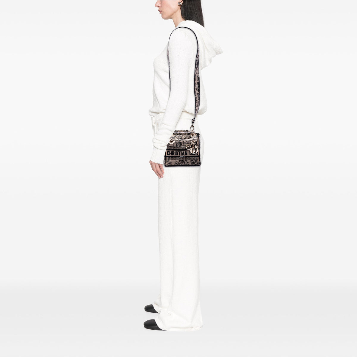 Dior Mini Embroidered Canvas Plan de Paris Lady D Lite
