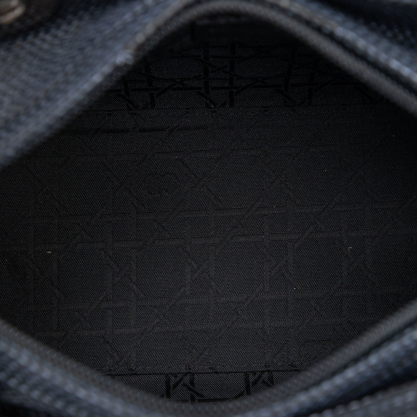 Dior Medium Nylon Lady Dior