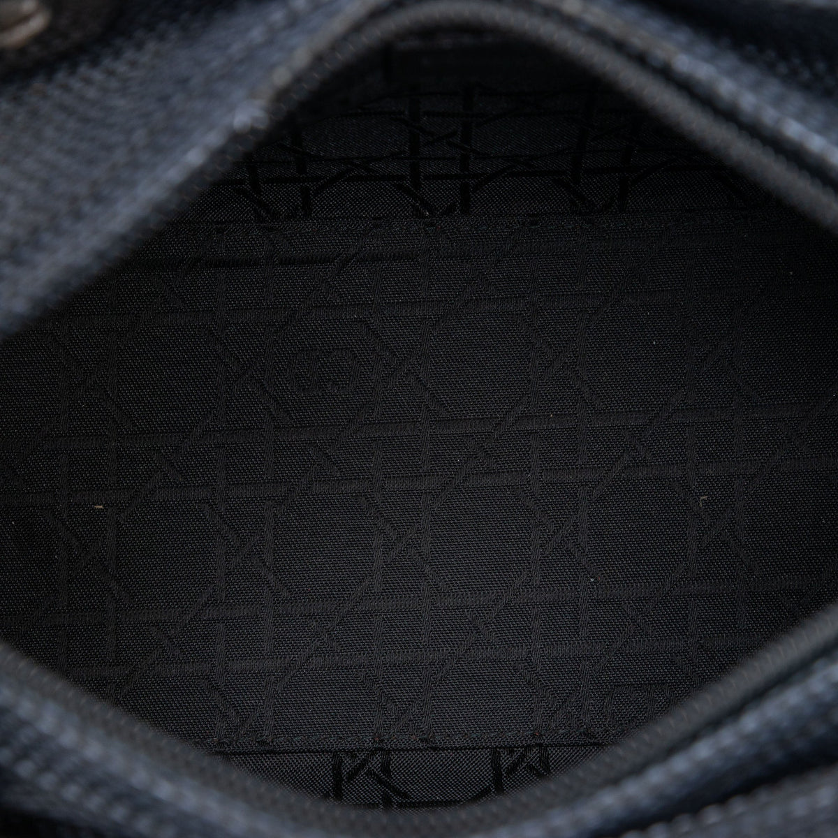 Dior Medium Nylon Lady Dior