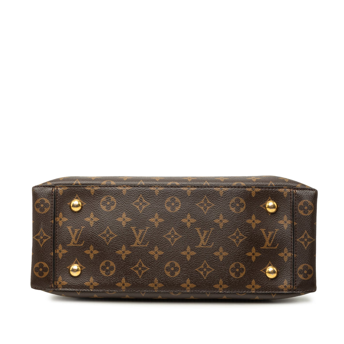 Louis Vuitton Monogram Flower Tote