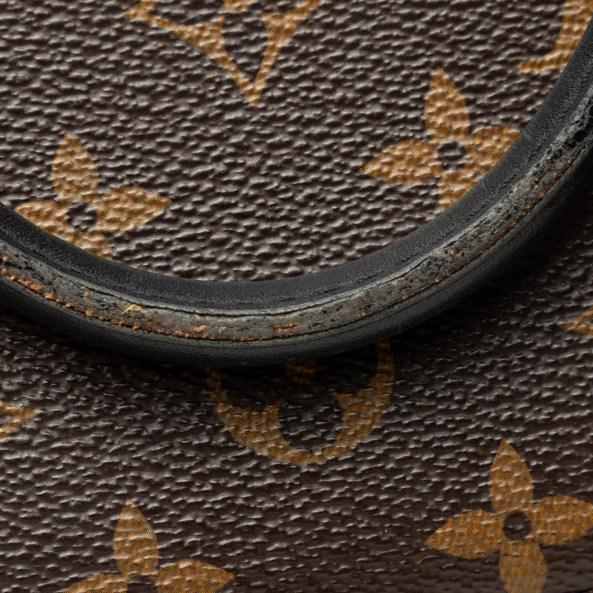 Louis Vuitton Monogram Flower Tote