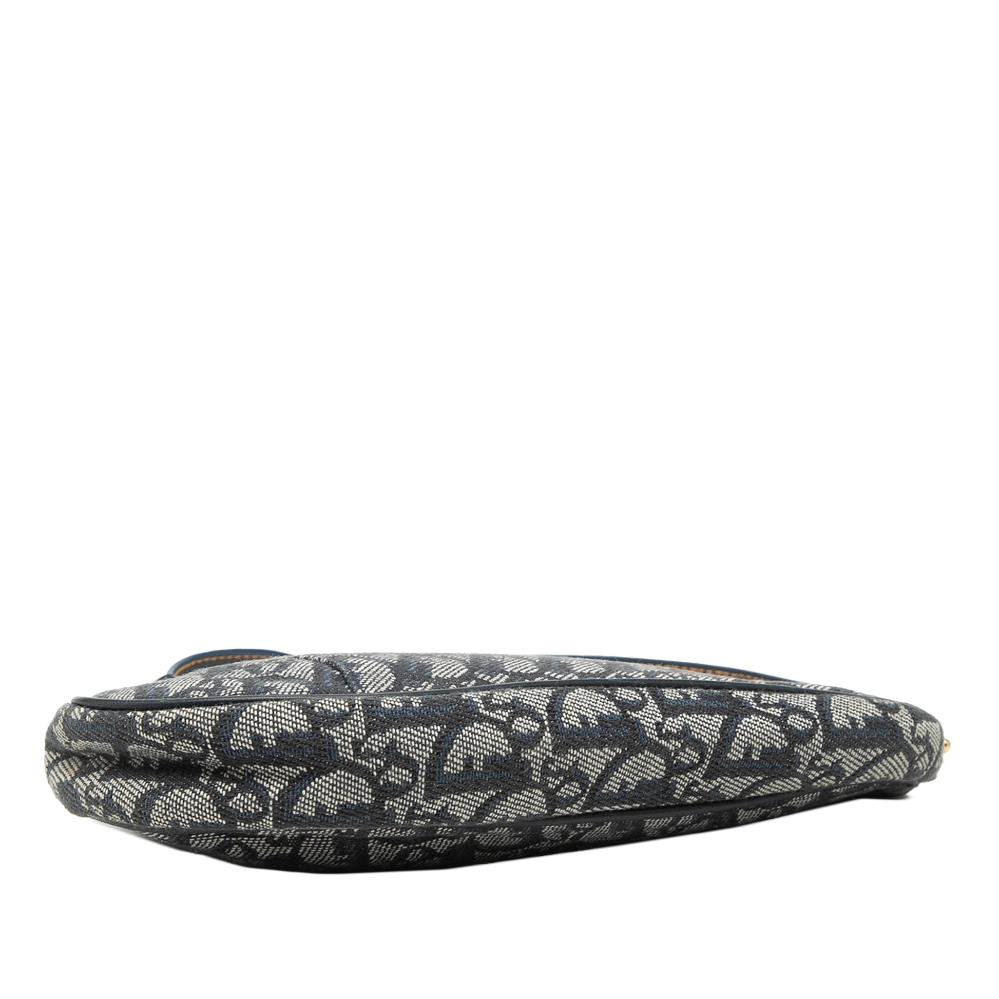 Mini Diorissimo Canvas Saddle Pochette
