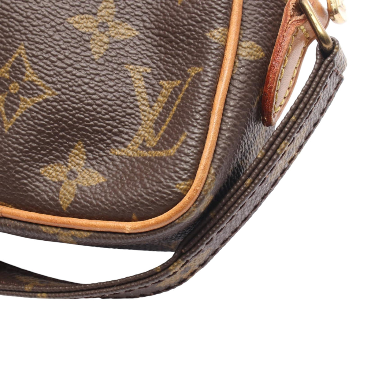 Louis Vuitton Monogram Mini Danube