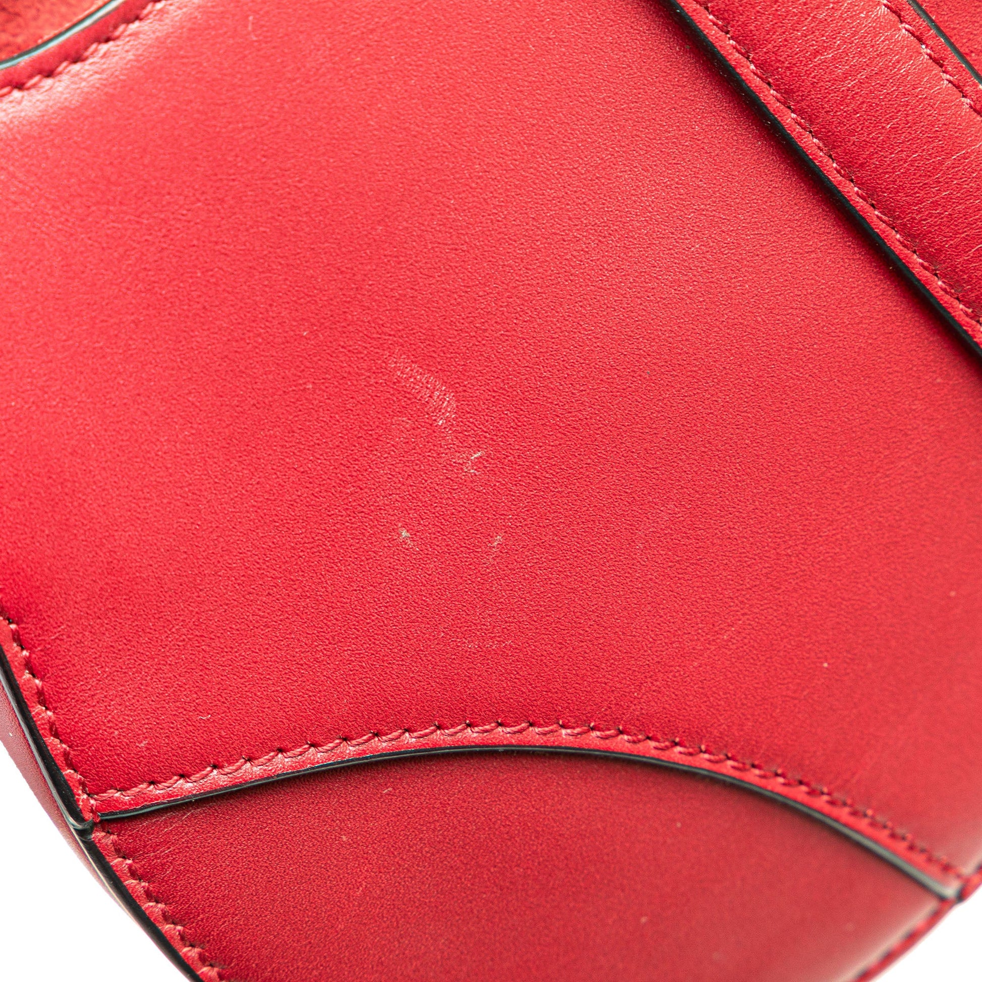 Dior Mini Grained Calfskin Saddle Bag