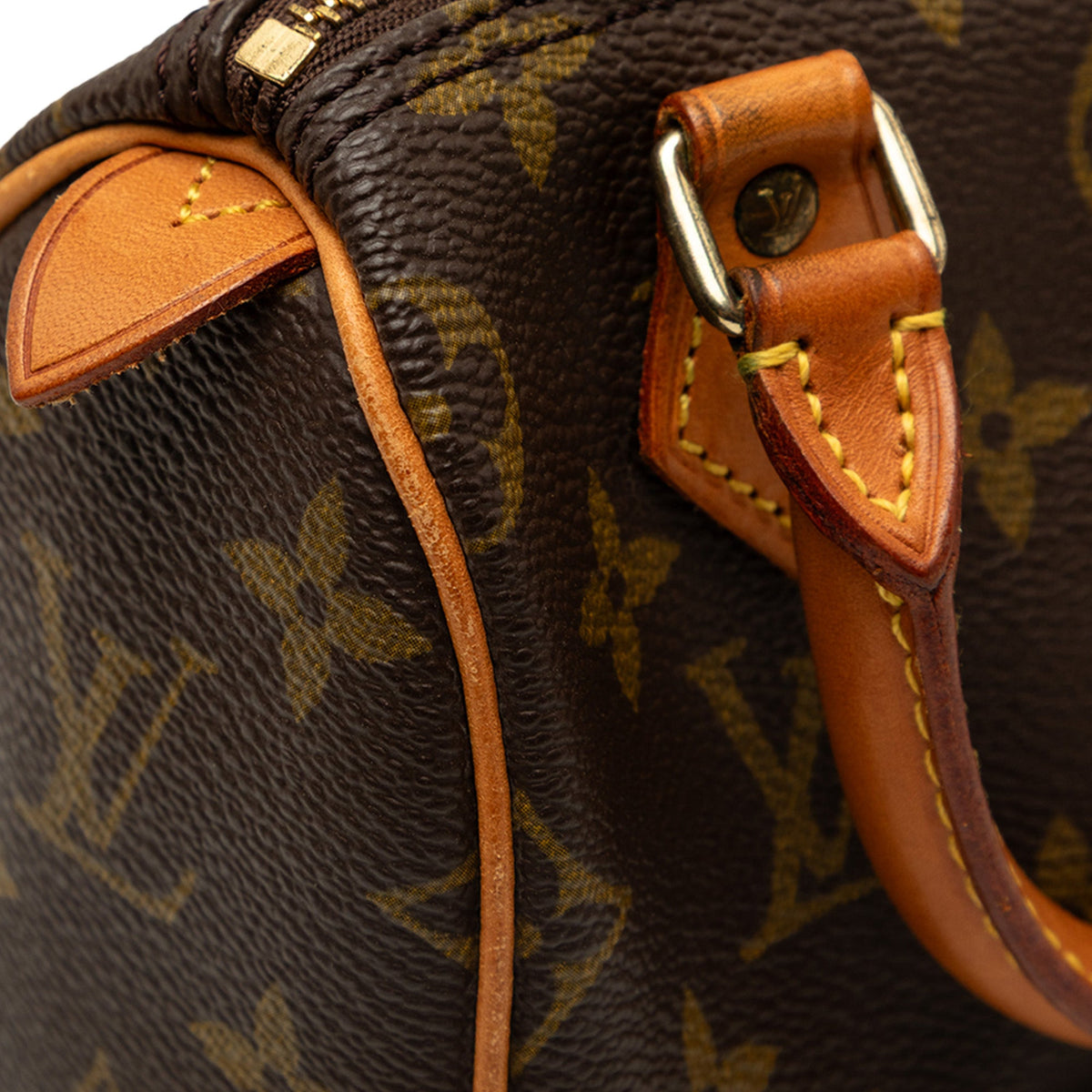 Louis Vuitton Monogram Mini Speedy HL