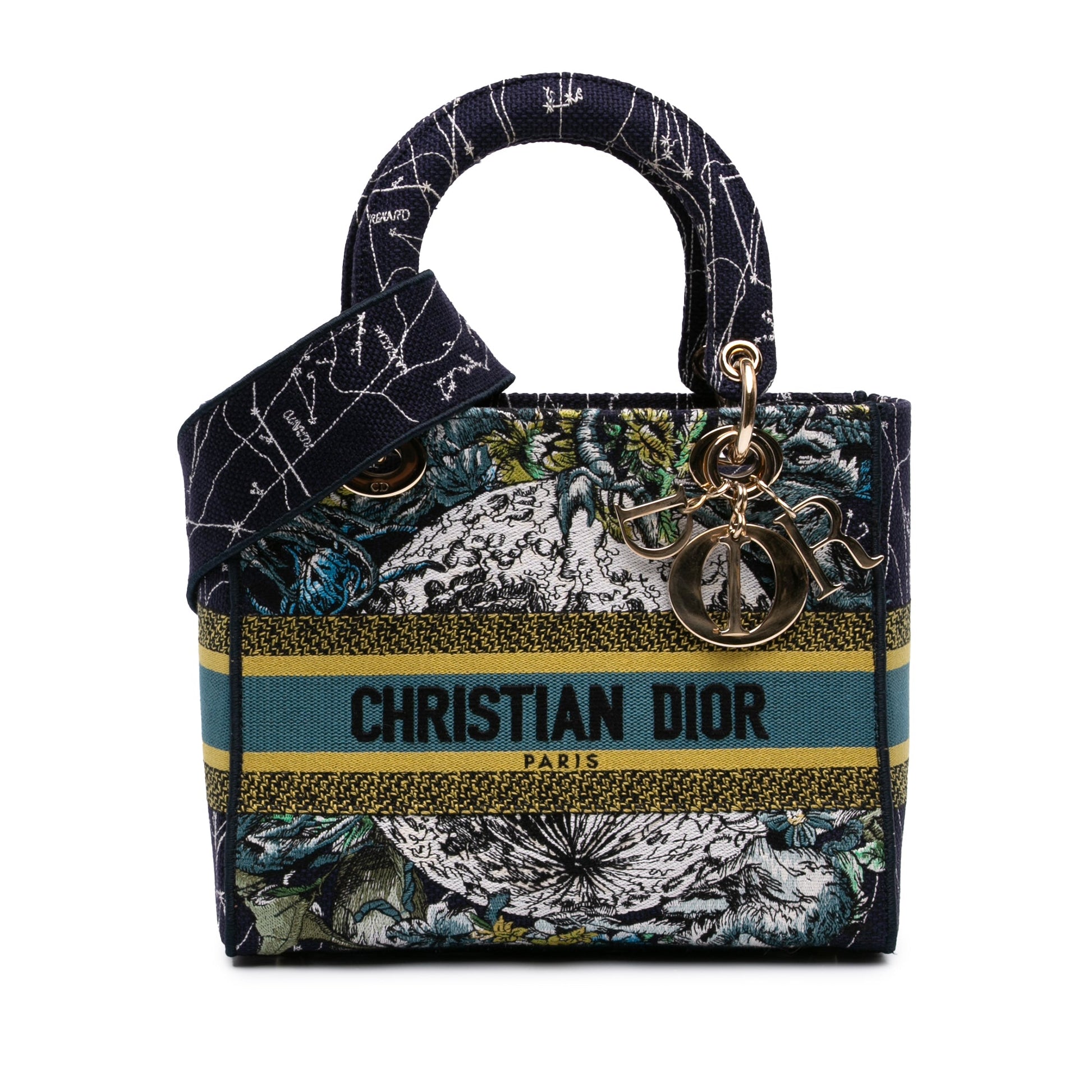 Dior Medium Embroidered Canvas Zodiac Lady D Lite