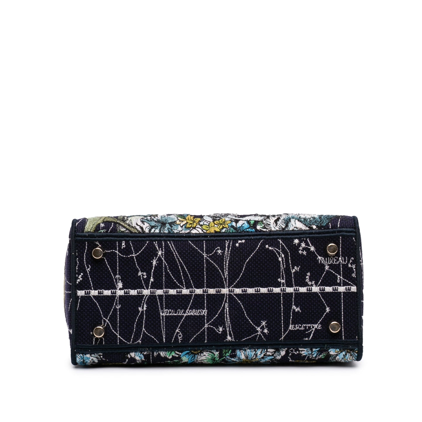 Dior Medium Embroidered Canvas Zodiac Lady D Lite