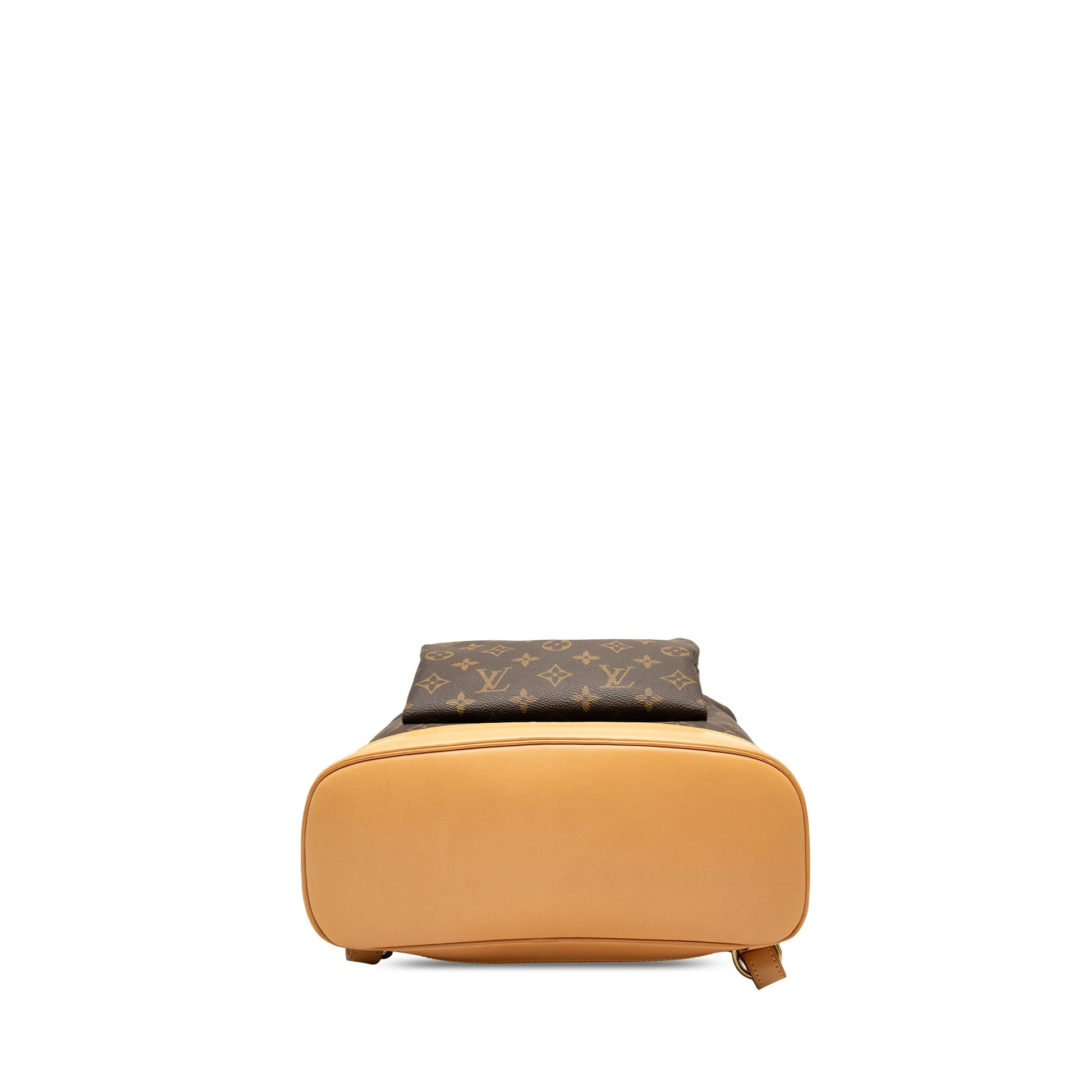 Louis Vuitton Monogram Montsouris GM