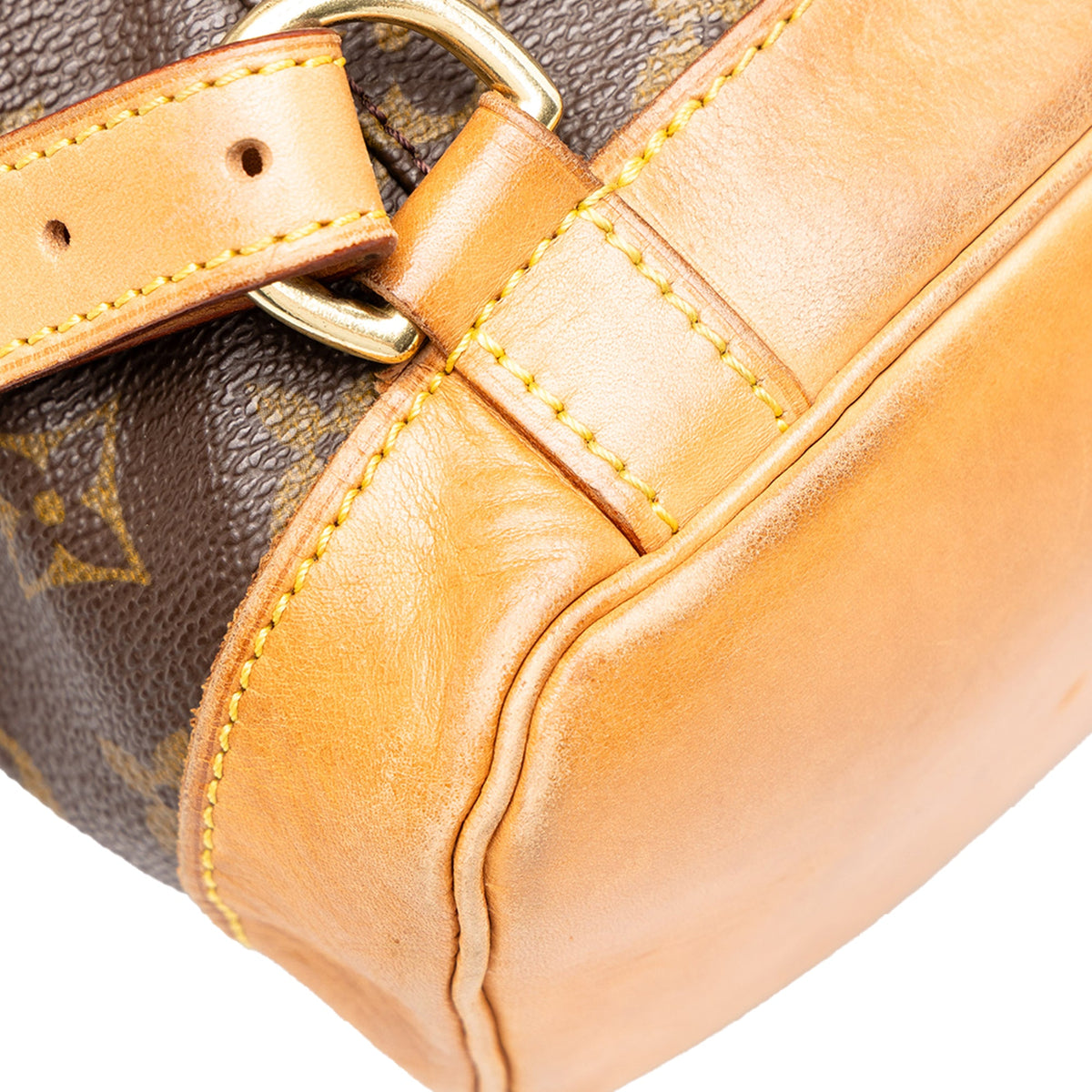 Louis Vuitton Monogram Montsouris MM