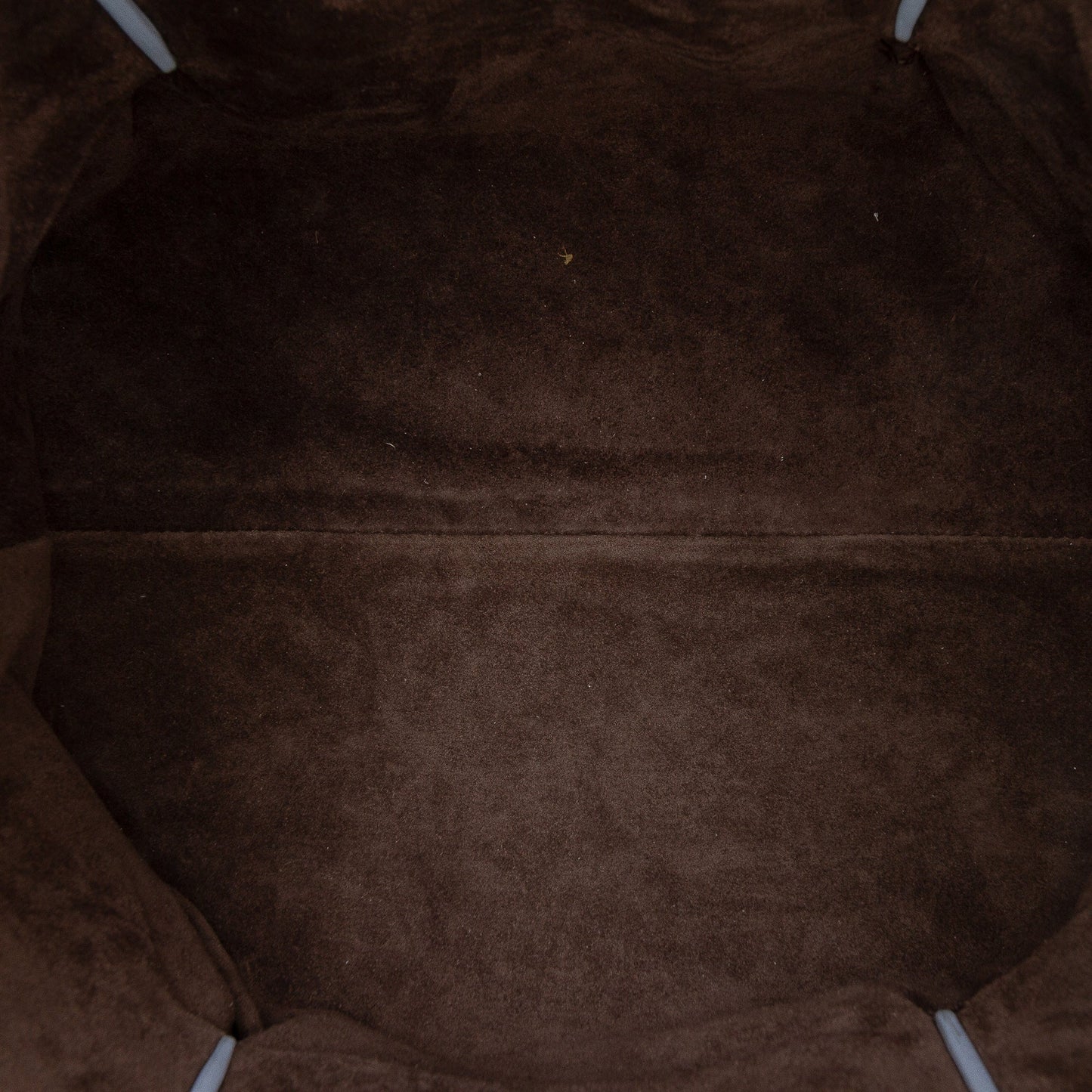 Bottega Veneta Small Calfskin Intrecciato Pinacoteca Tote