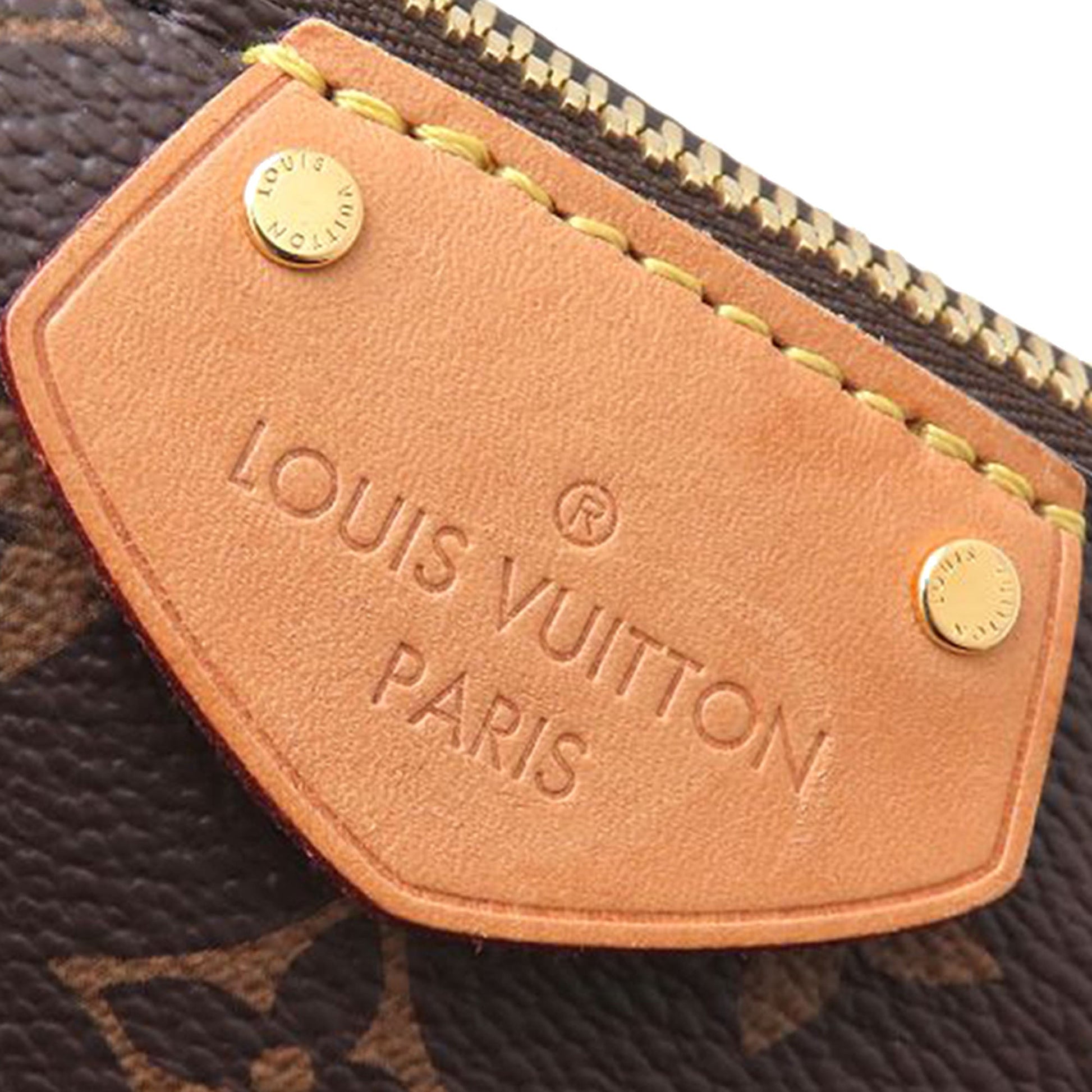 Louis Vuitton Monogram Turenne MM