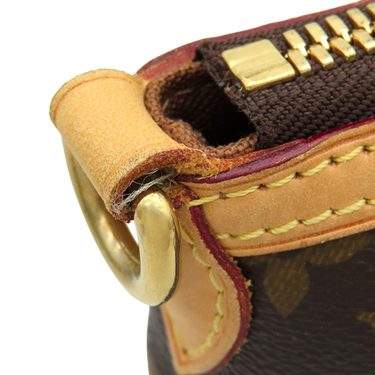 Louis Vuitton Monogram Palermo GM