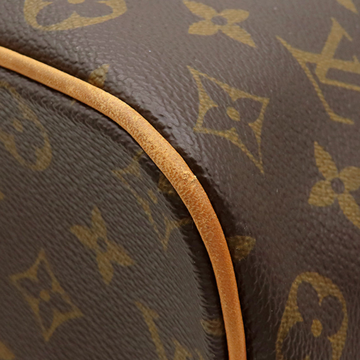 Louis Vuitton Monogram Palermo GM