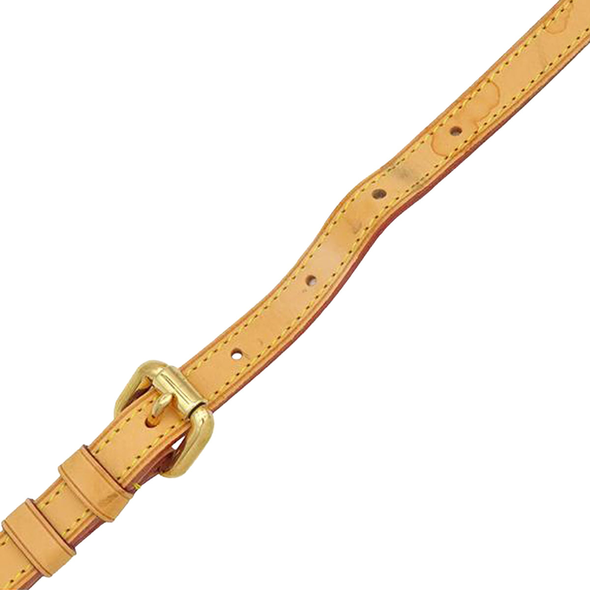 Louis Vuitton Monogram Palermo GM