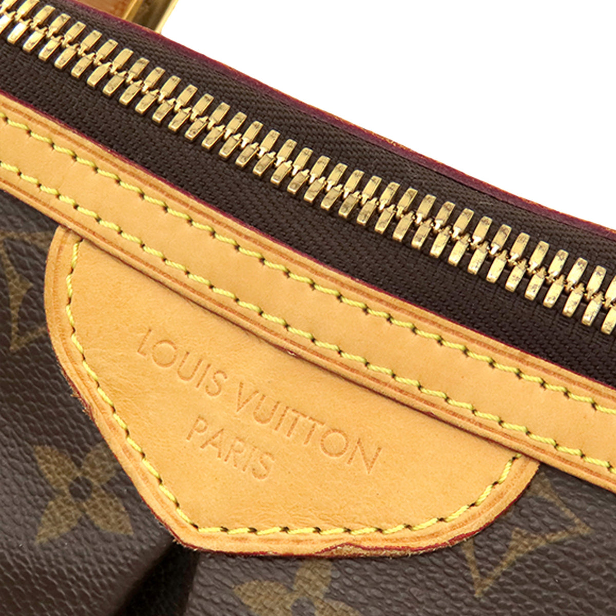 Louis Vuitton Monogram Palermo GM