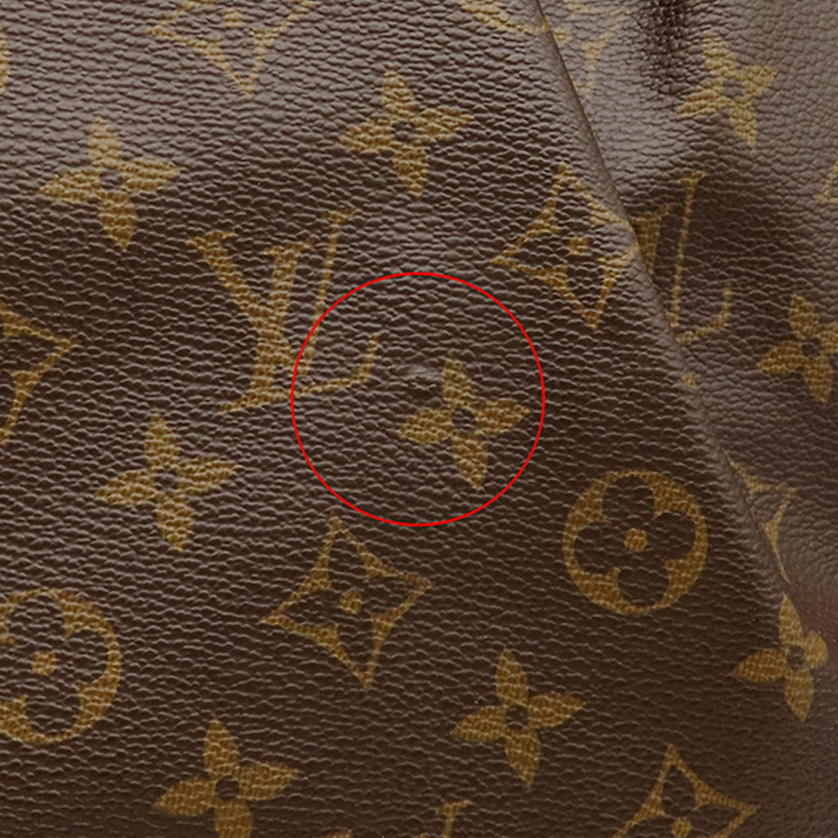 Louis Vuitton Monogram Palermo GM