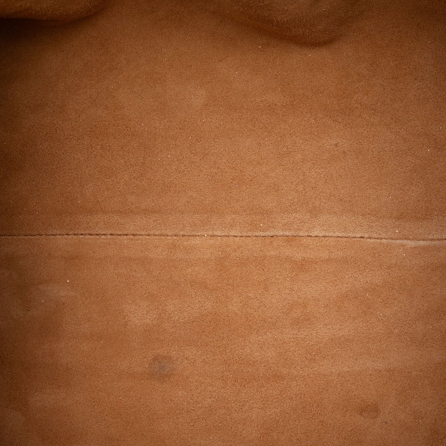 Bottega Veneta Crackled Calfskin The Pouch