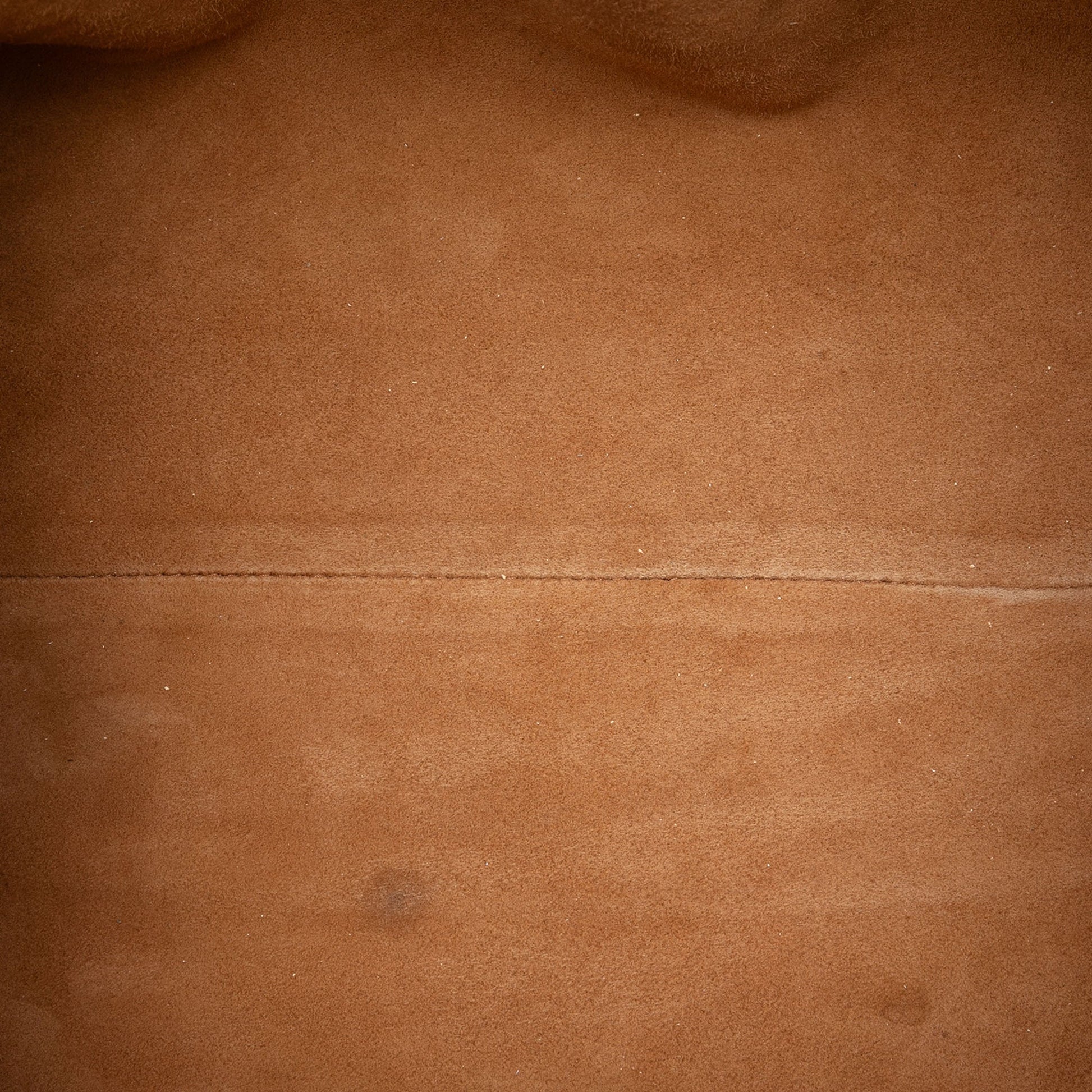 Bottega Veneta Crackled Calfskin The Pouch