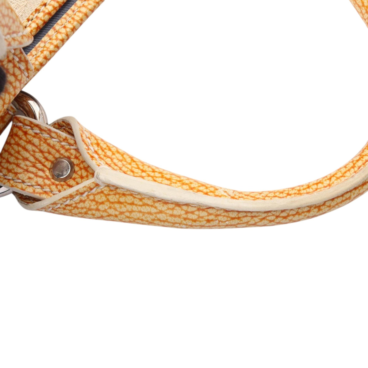 Celine Canvas Boogie Bag