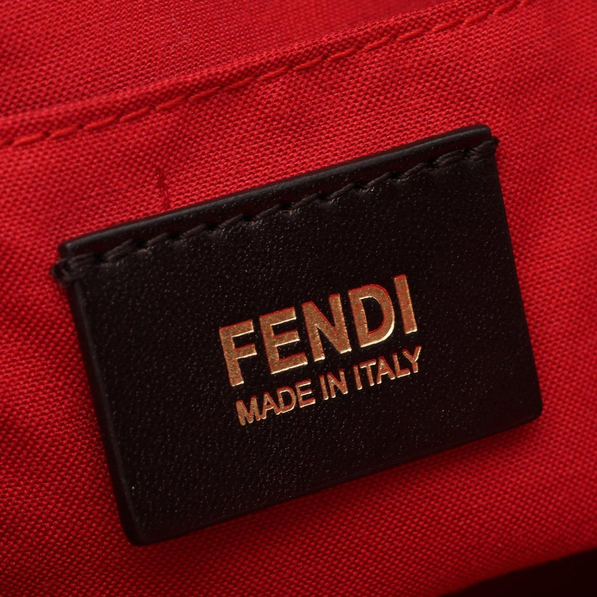 Fendi Large Leather Chameleon Satchel
