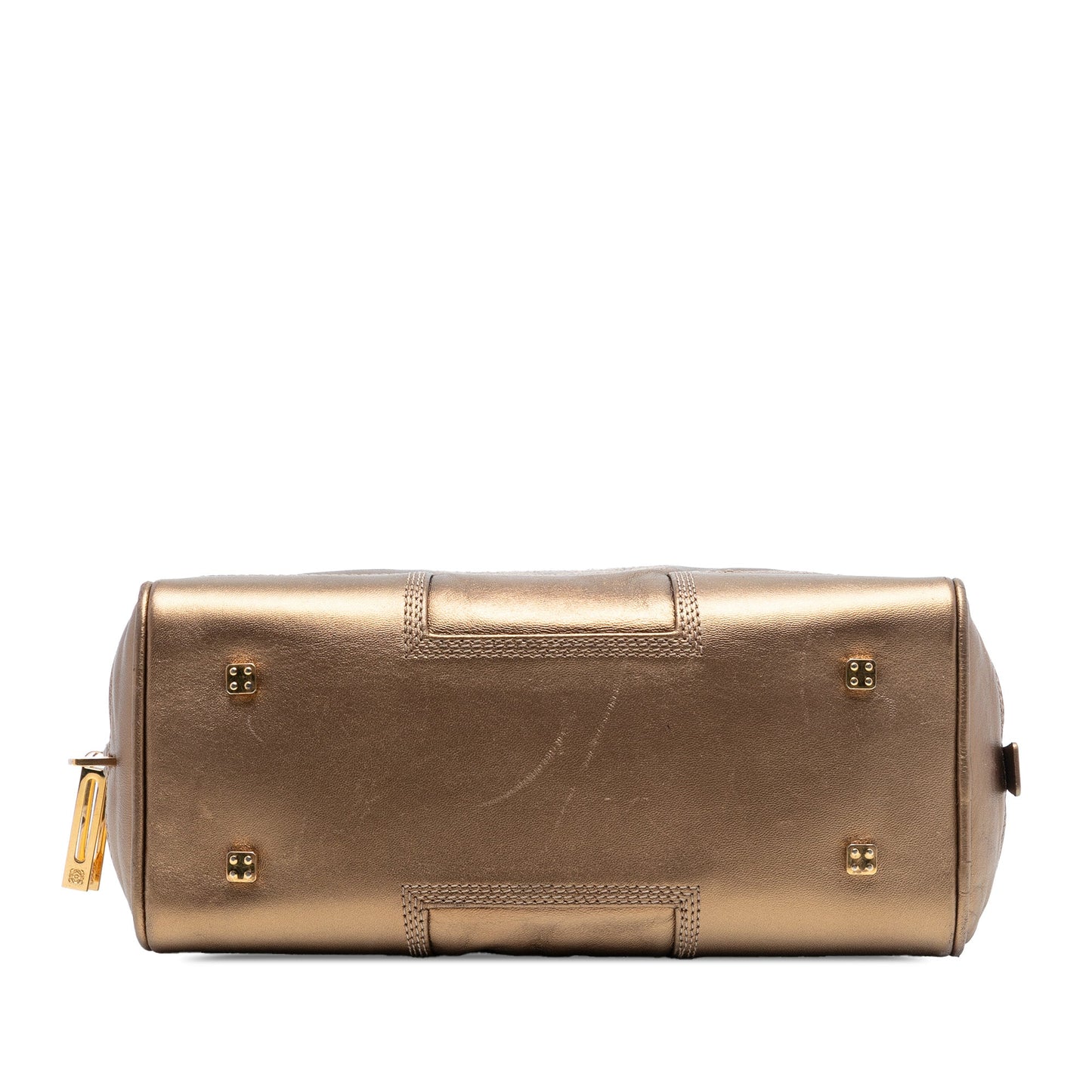 LOEWE Metallic Leather Amazona 28