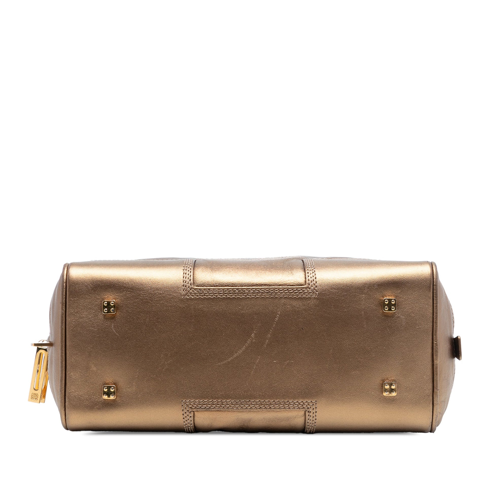 LOEWE Metallic Leather Amazona 28