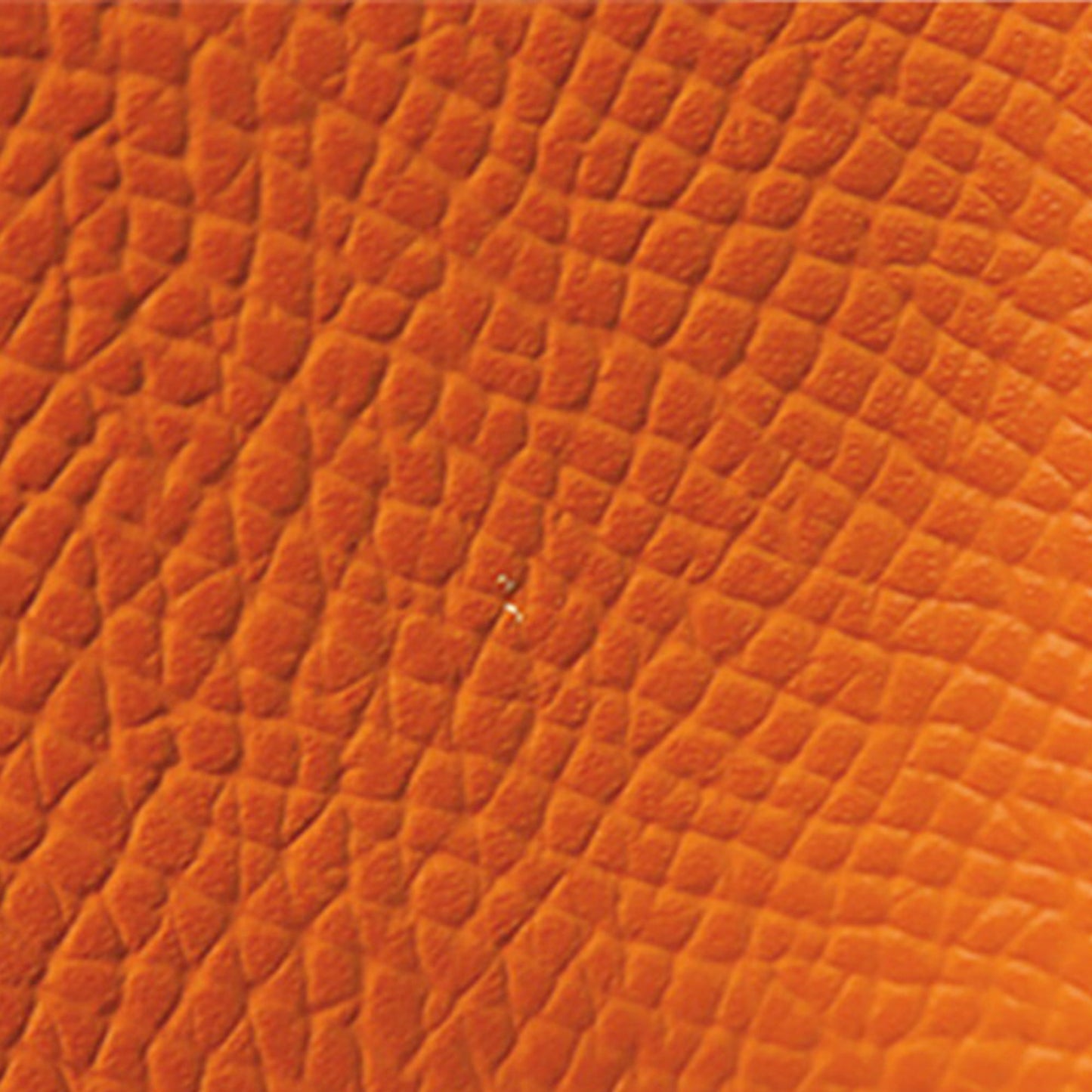 Hermès Epsom Bolide 31
