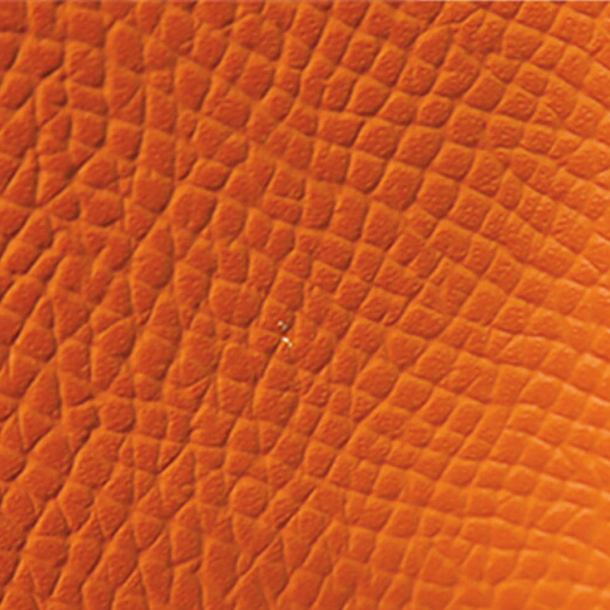 Hermès Epsom Bolide 31