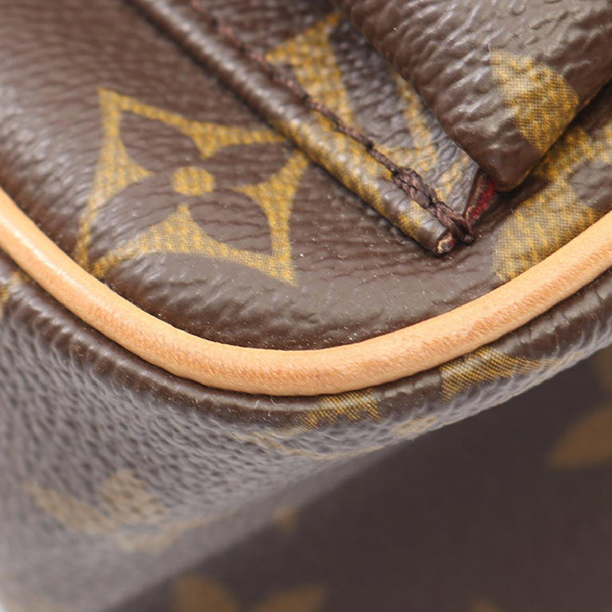 Louis Vuitton Monogram Viva Cite PM