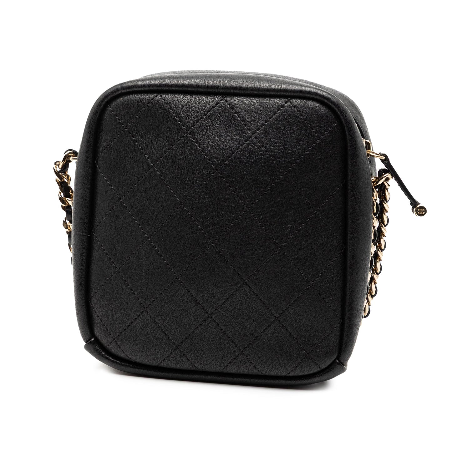 Chanel Stitched Goatskin Casual Trip North South Camera Case