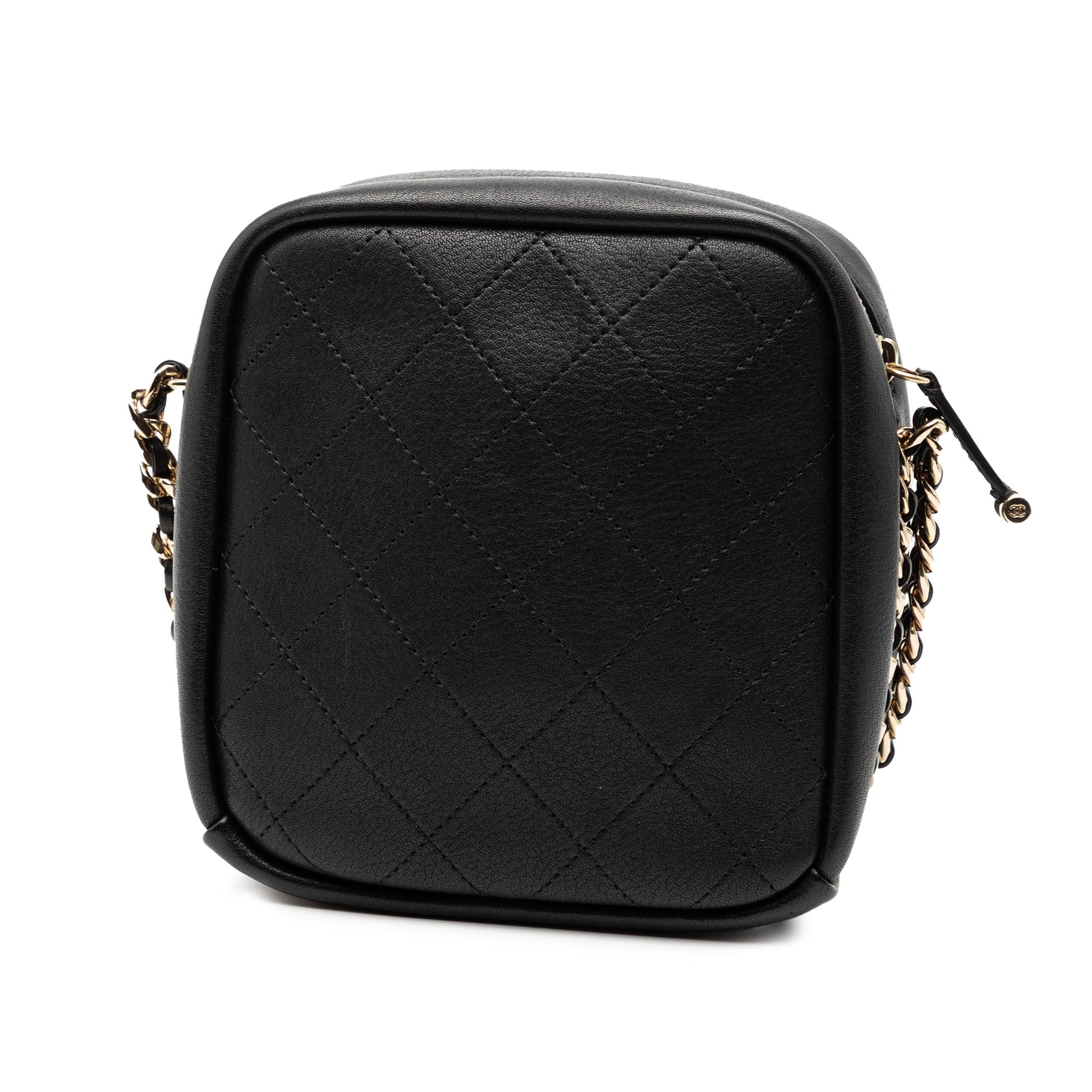 Chanel Stitched Goatskin Casual Trip North South Camera Case