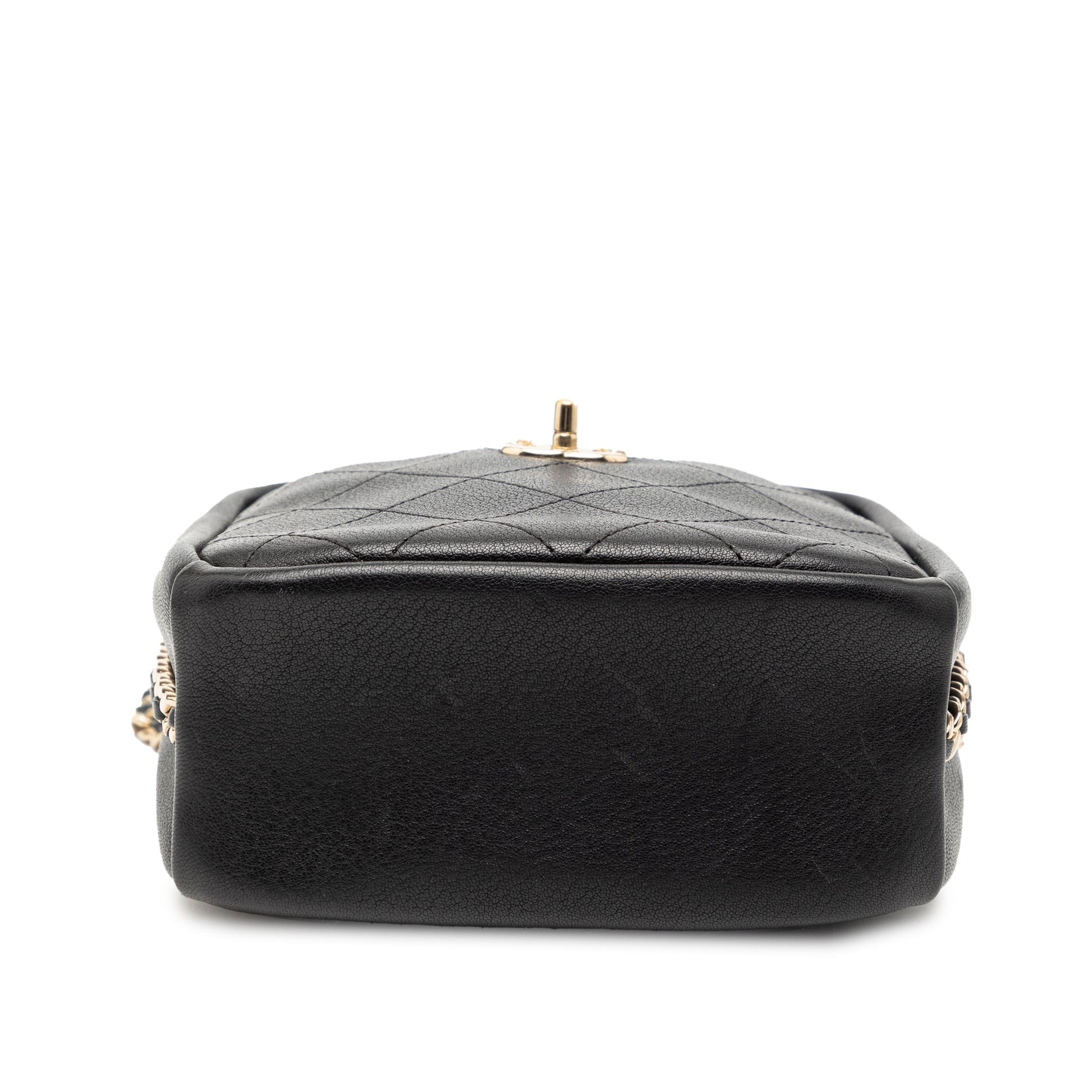 Chanel Stitched Goatskin Casual Trip North South Camera Case