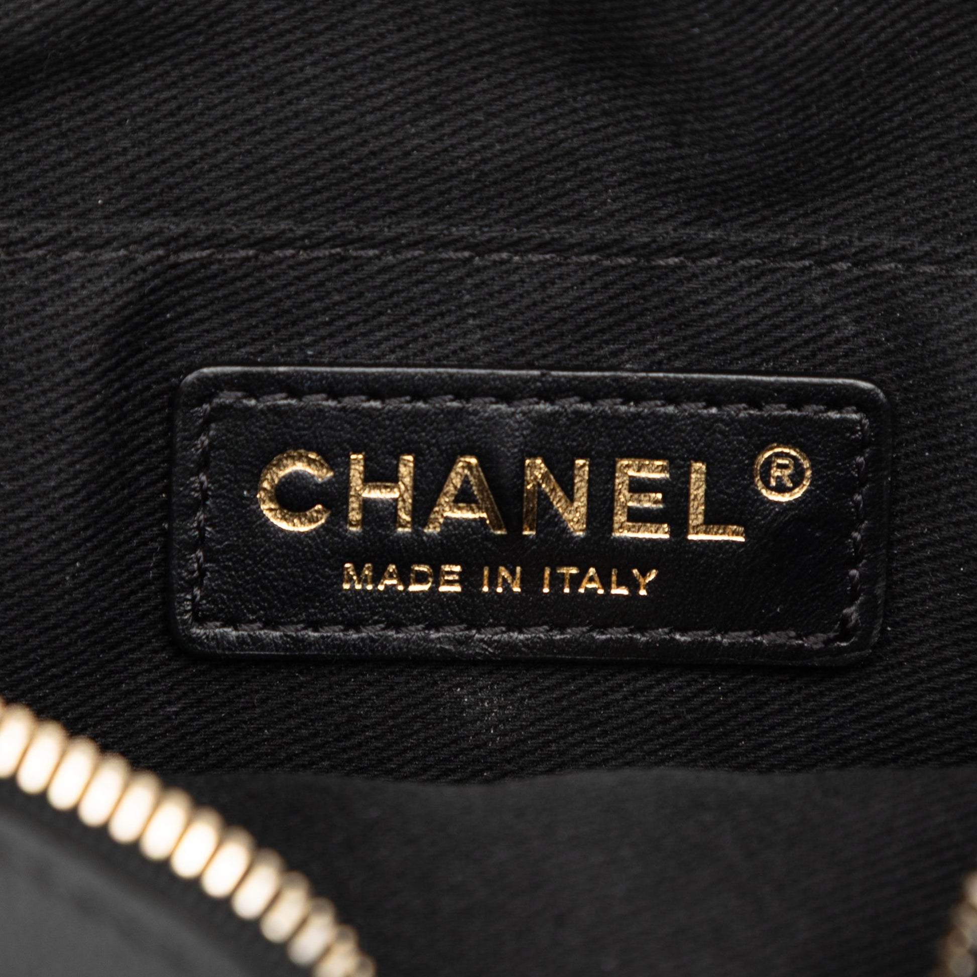 Chanel Stitched Goatskin Casual Trip North South Camera Case