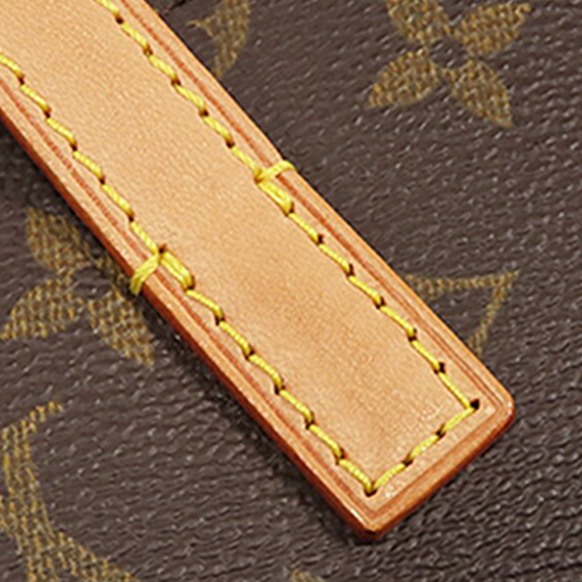 Louis Vuitton Monogram Sonatine