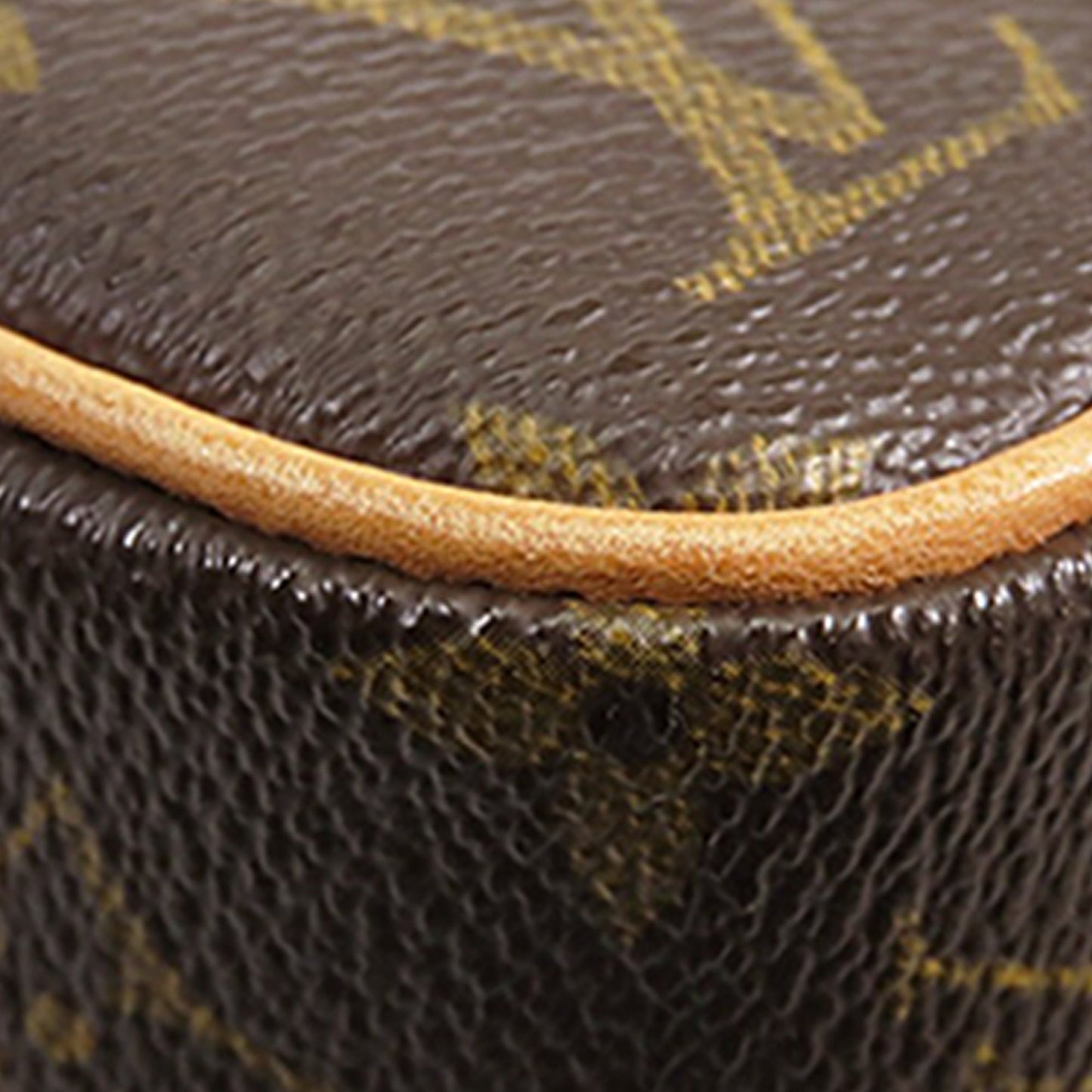 Louis Vuitton Monogram Sonatine