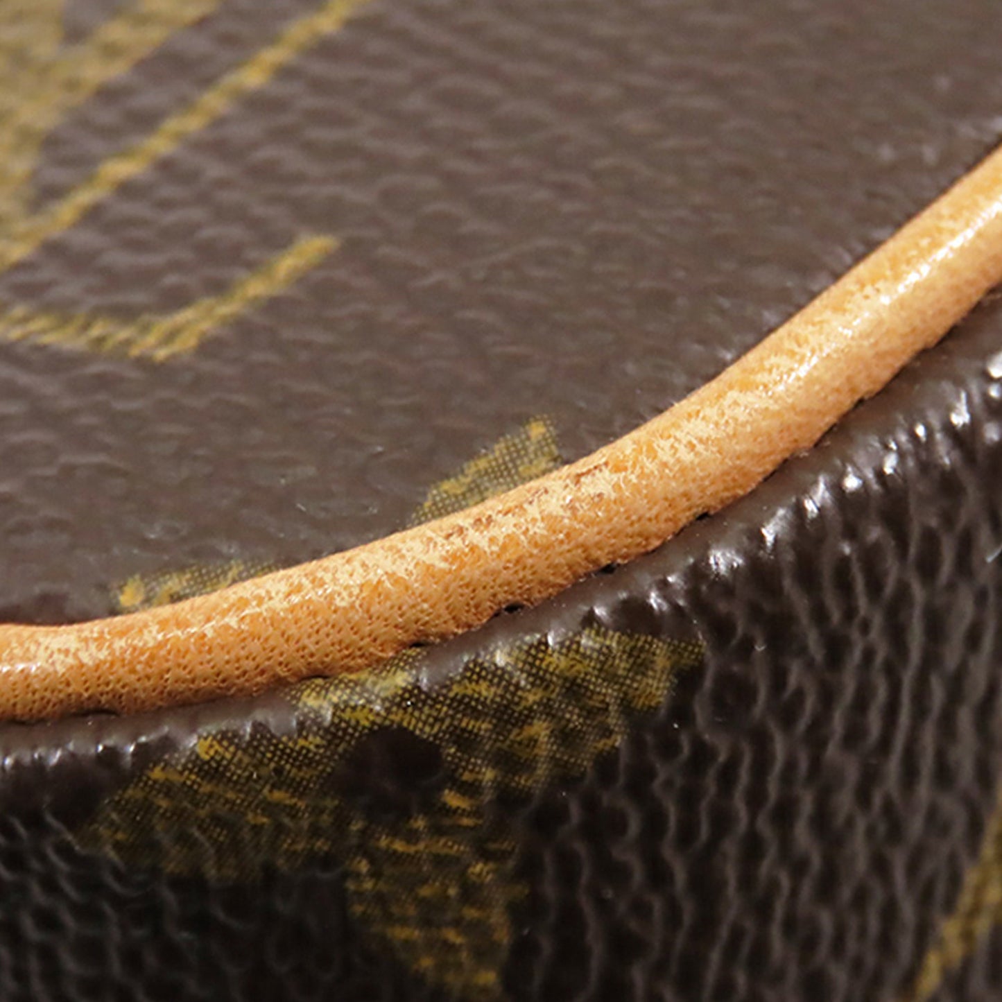 Louis Vuitton Monogram Sonatine