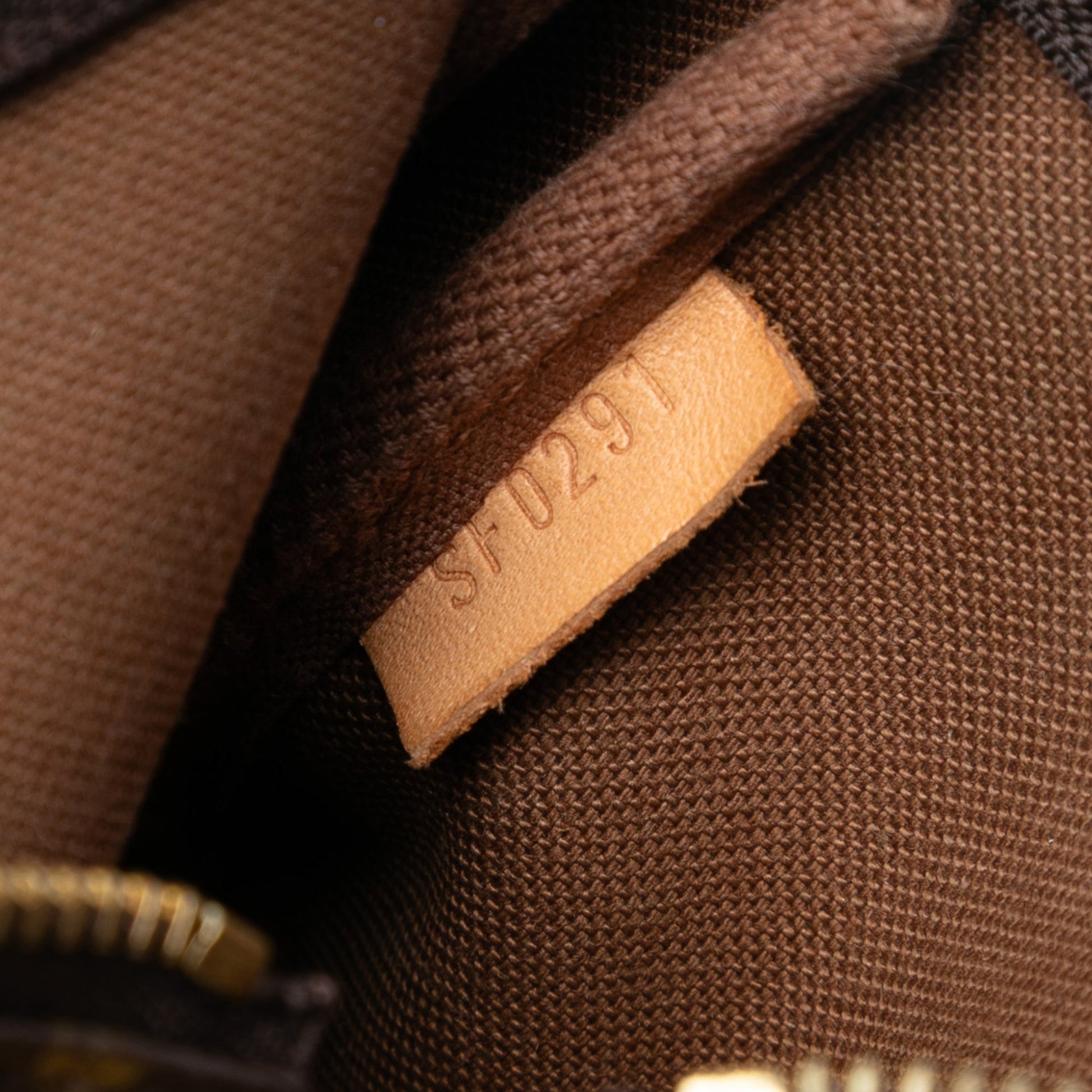 Louis Vuitton Monogram Mini Pochette Accessoires