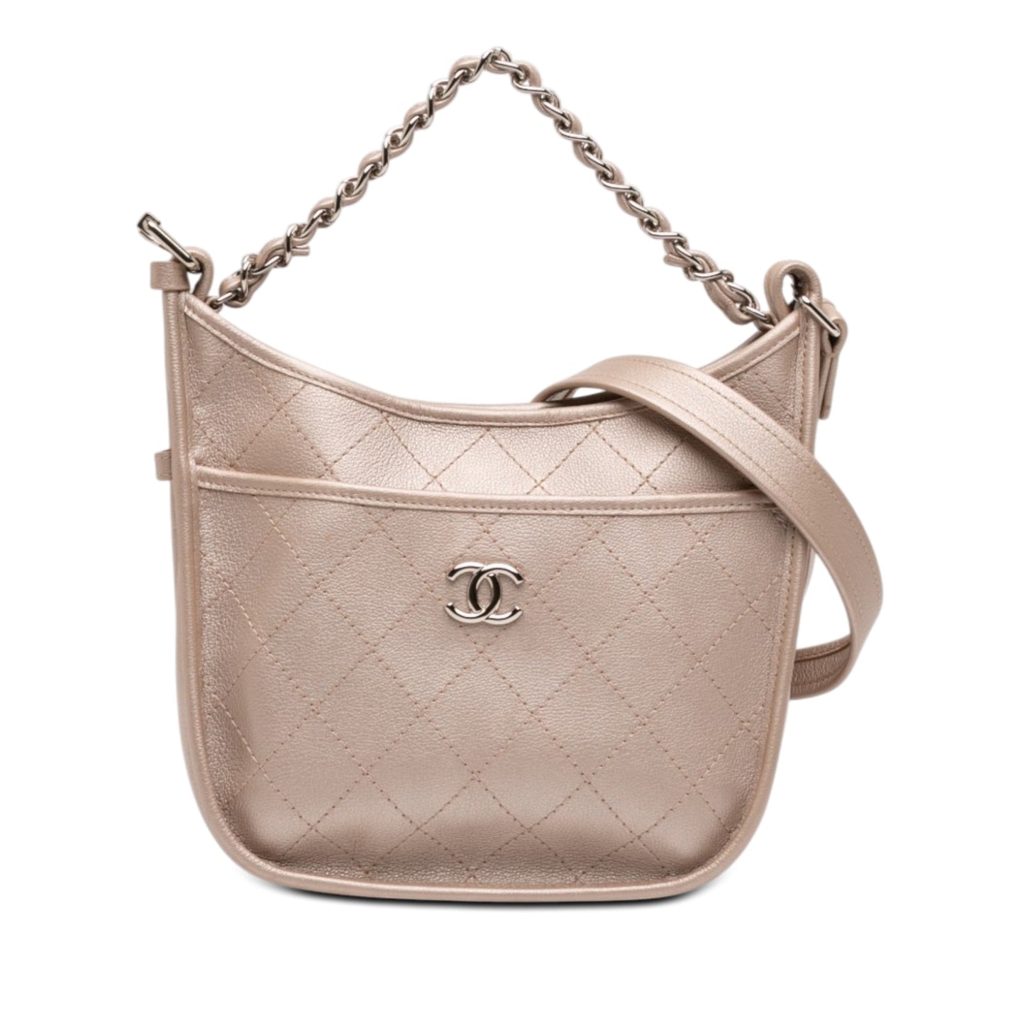 Chanel Small Quilted Metallic Calfskin Jungle Stroll Hobo