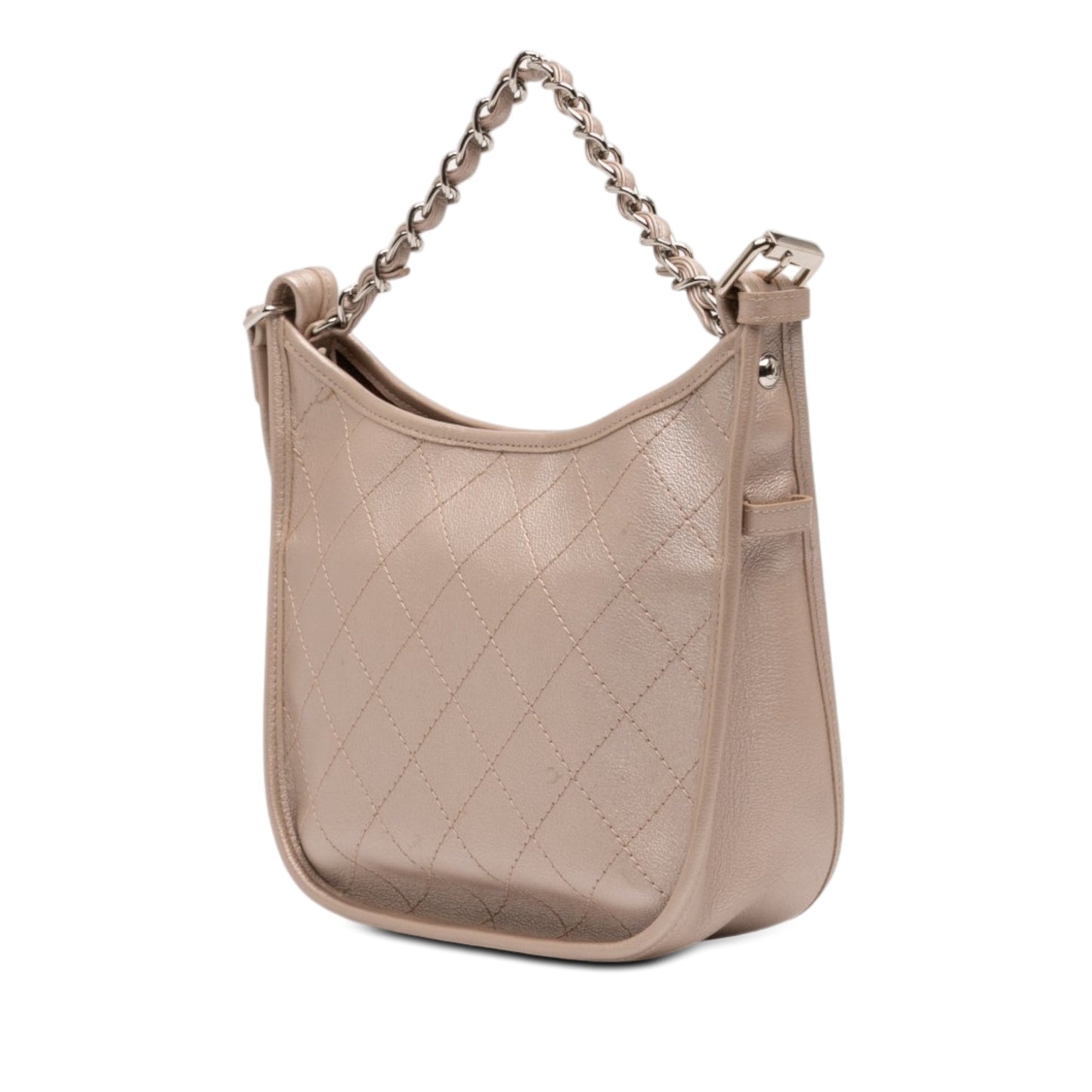 Chanel Small Quilted Metallic Calfskin Jungle Stroll Hobo