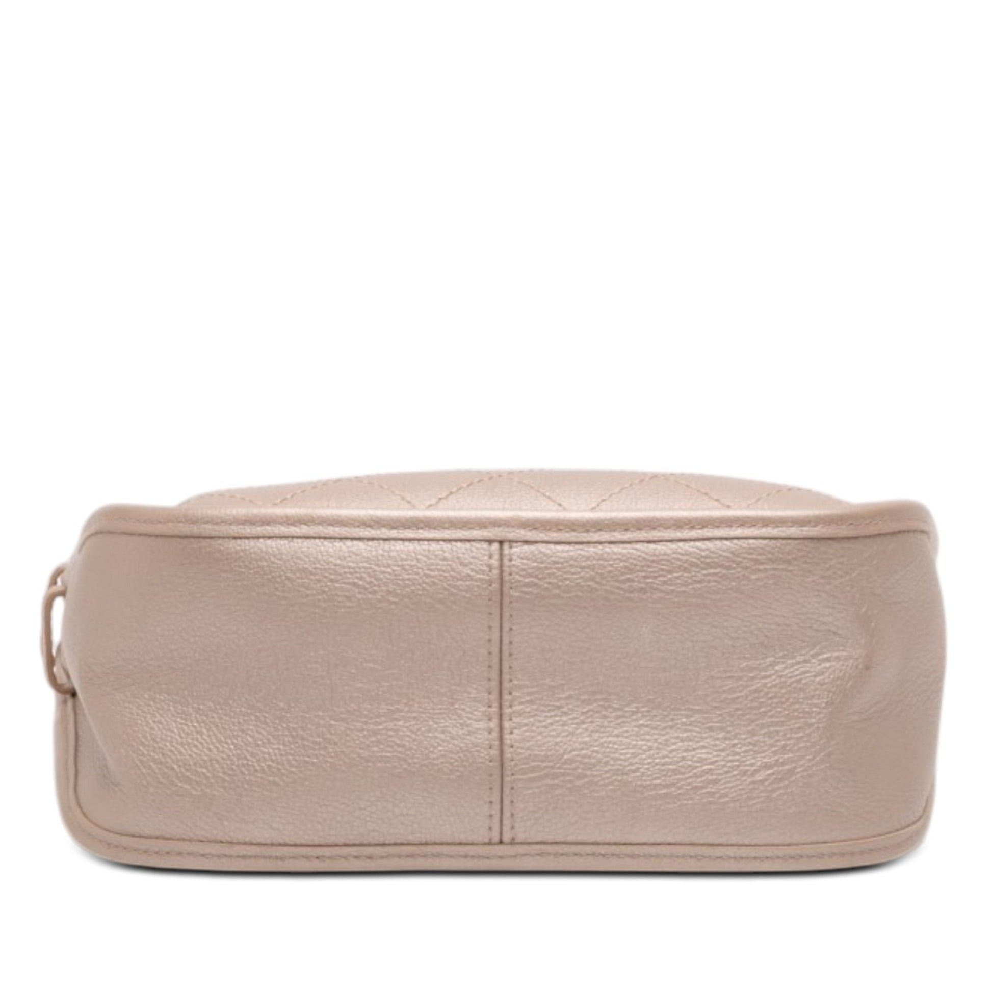 Chanel Small Quilted Metallic Calfskin Jungle Stroll Hobo