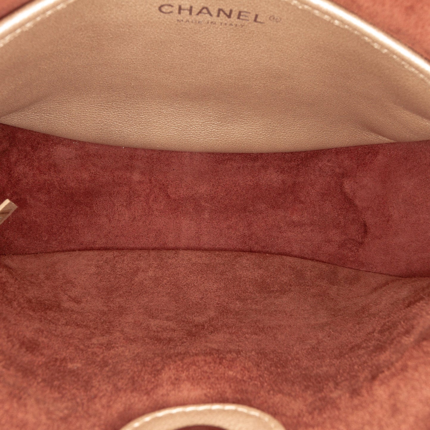Chanel Small Quilted Metallic Calfskin Jungle Stroll Hobo