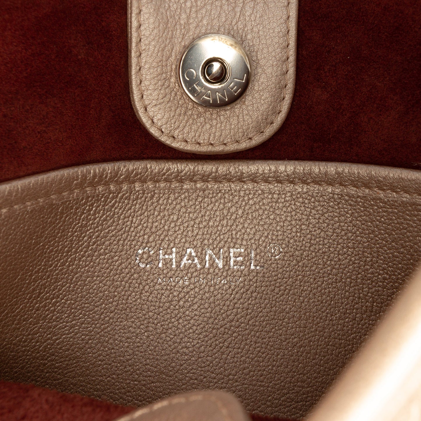 Chanel Small Quilted Metallic Calfskin Jungle Stroll Hobo
