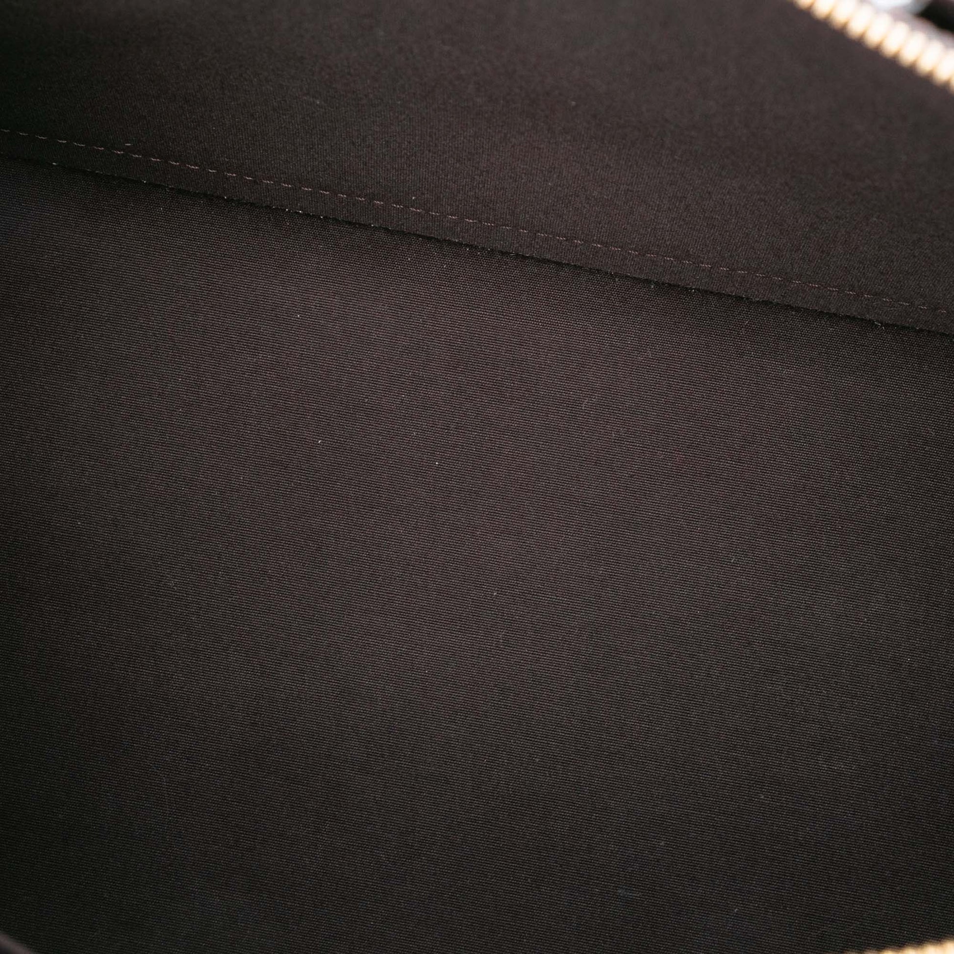 Louis Vuitton Monogram Vernis Alma GM