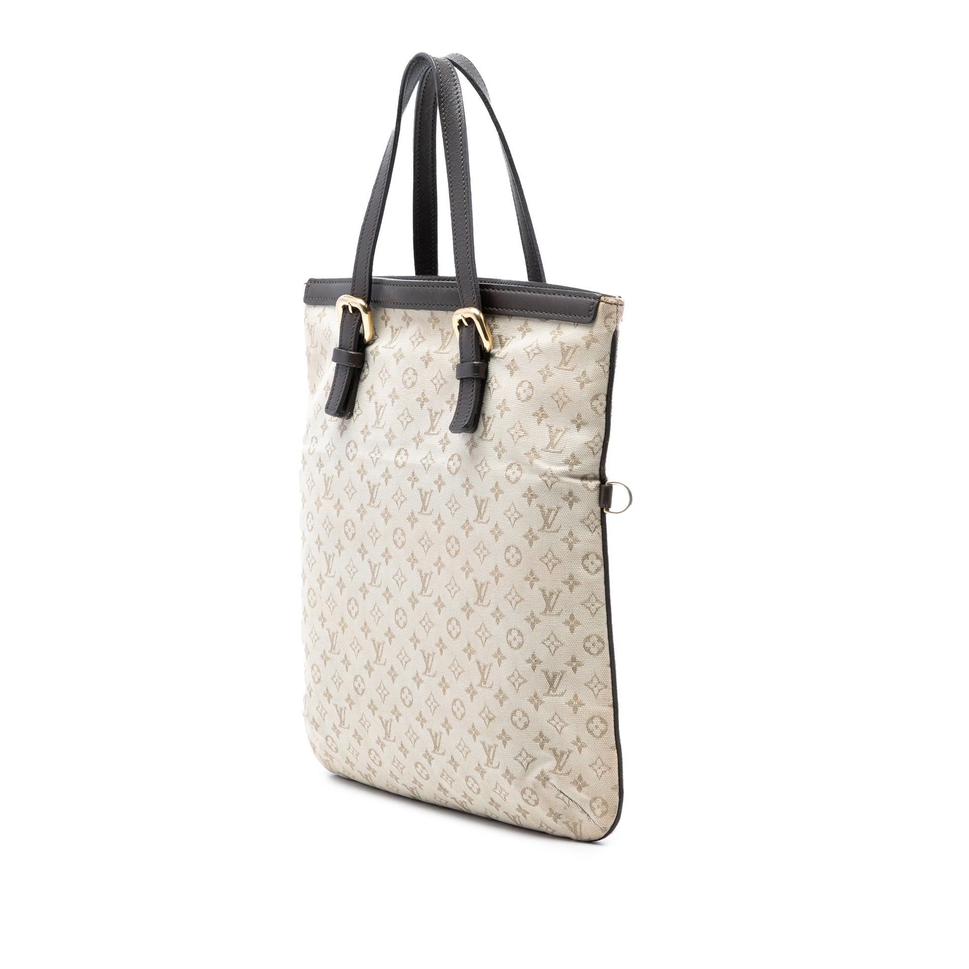 Louis Vuitton Monogram Mini Lin Francoise