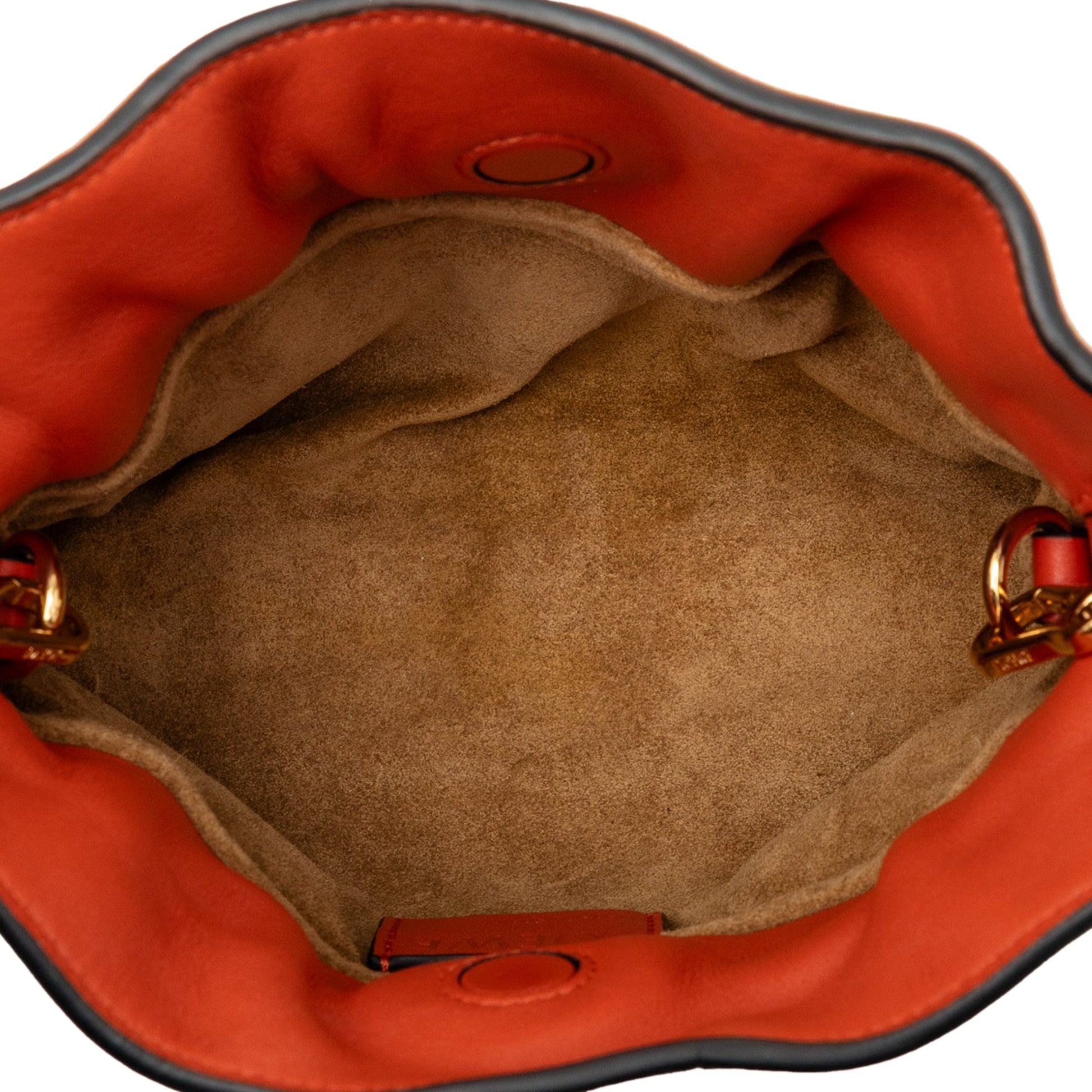 LOEWE Nano Leather Flamenco Knot Chain Crossbody