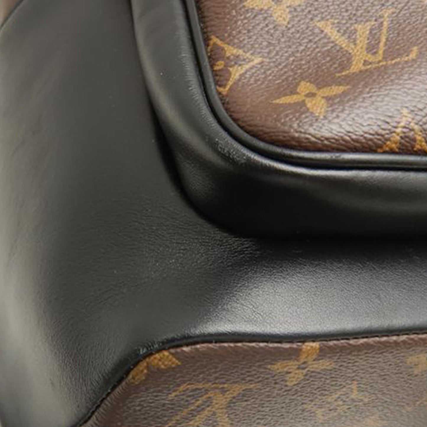 Louis Vuitton Monogram Macassar Dean Backpack