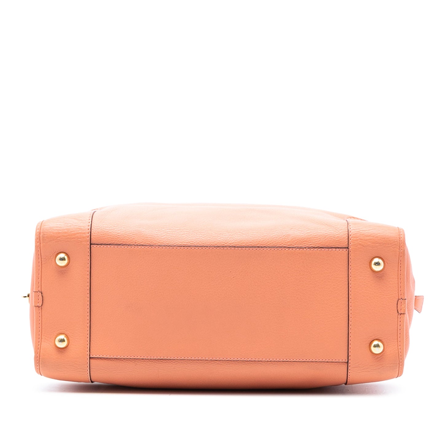 LOEWE Limited Edition Leather Bull Charm Amazona 36