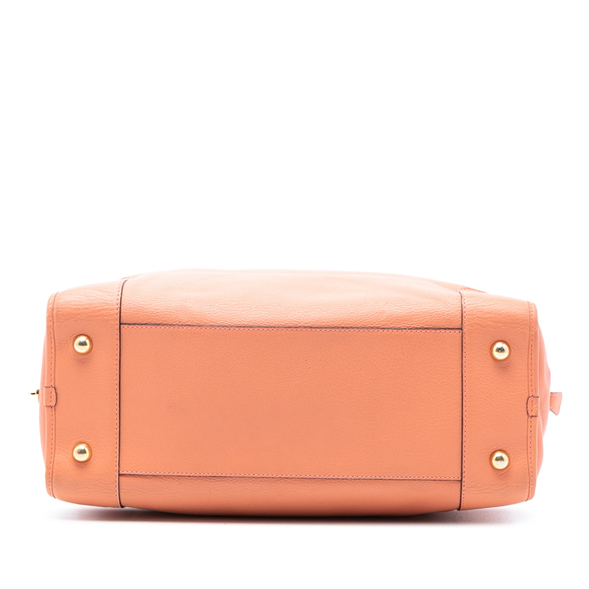 LOEWE Limited Edition Leather Bull Charm Amazona 36