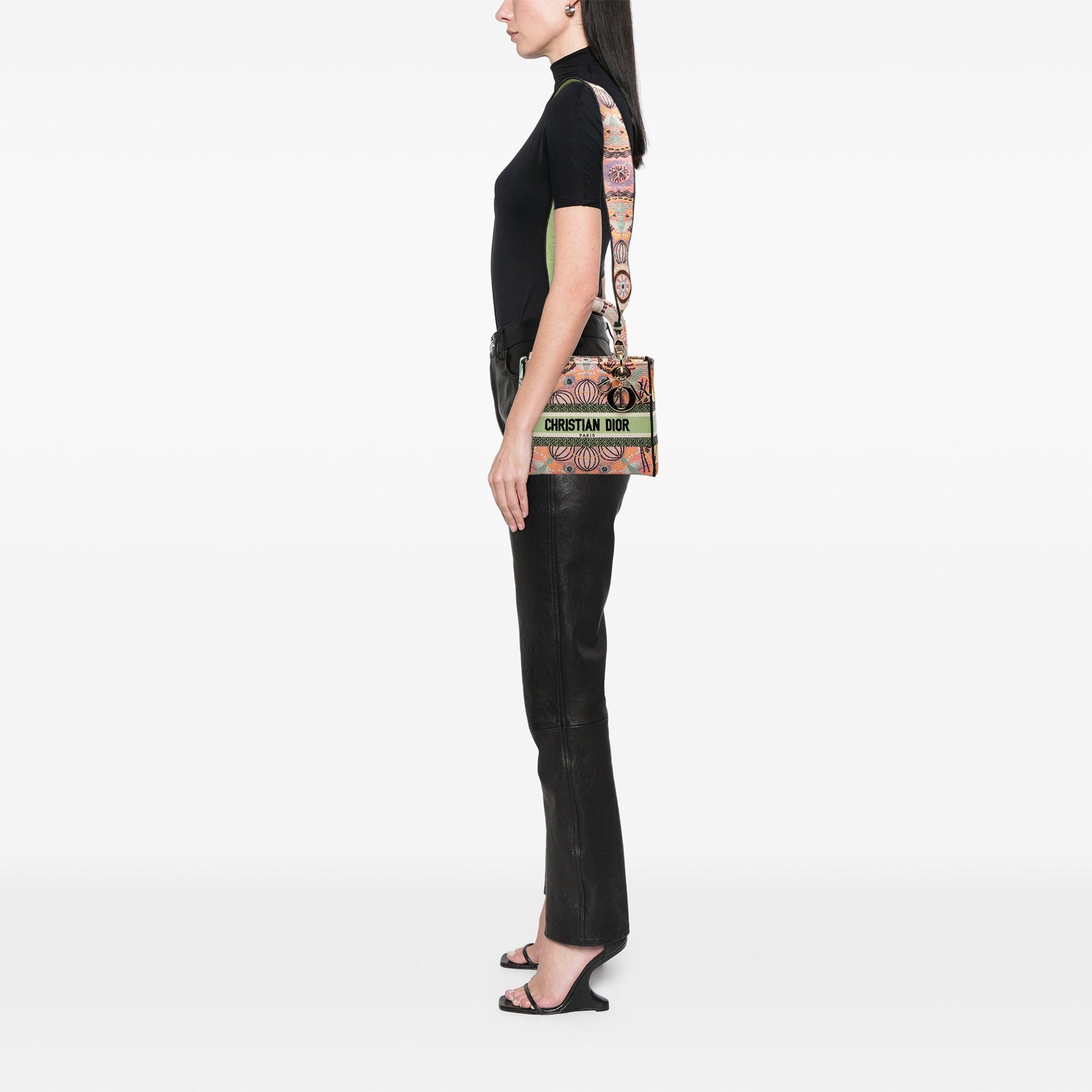 Dior Medium Embroidered Canvas In Lights Lady D Lite